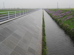 �h���}�b�g